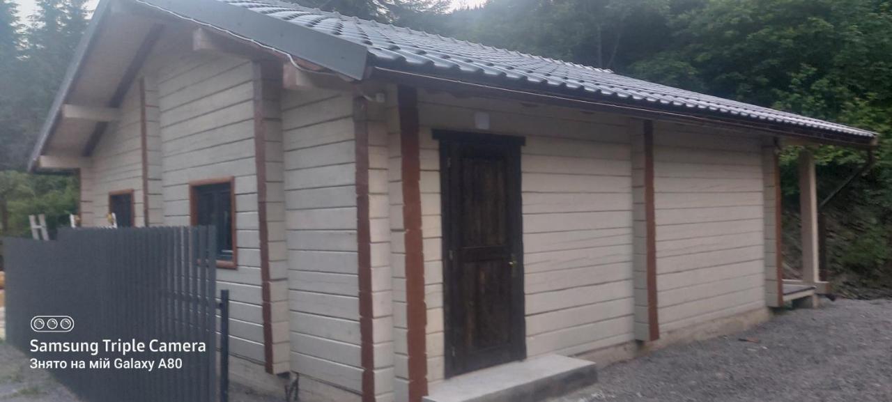 Hotel Berloga-Sinevir Synevyrsʼka Polyana Dış mekan fotoğraf