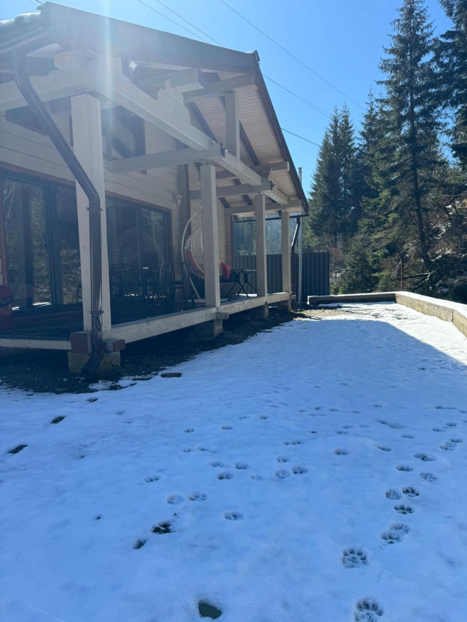Hotel Berloga-Sinevir Synevyrsʼka Polyana Dış mekan fotoğraf